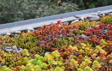 the cost of Bradfield St Clare green roof installation