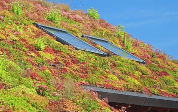 Bradfield St Clare living roof systems