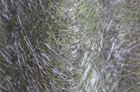 Bradfield St Clare fibreglass roof work